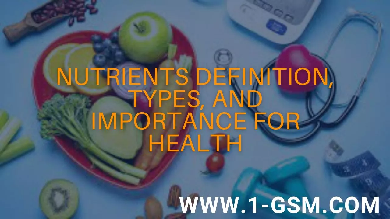 Nutrients Definition, Types, and Importance for Health