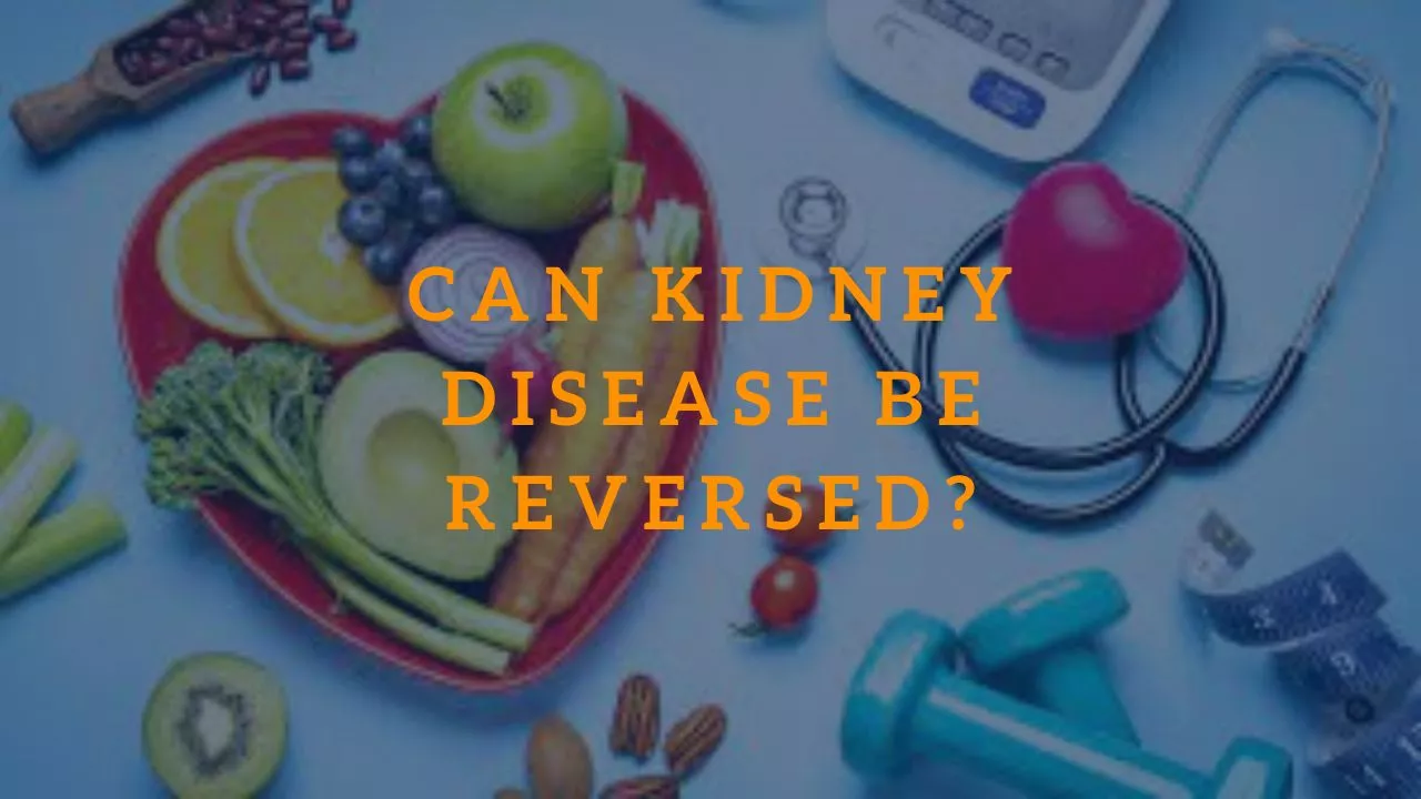 Can Kidney Disease be Reversed?