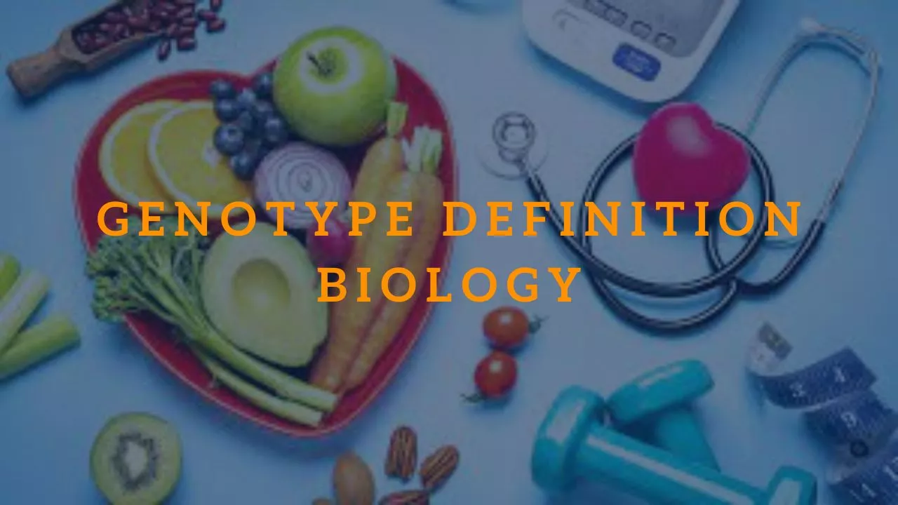 Genotype Definition Biology