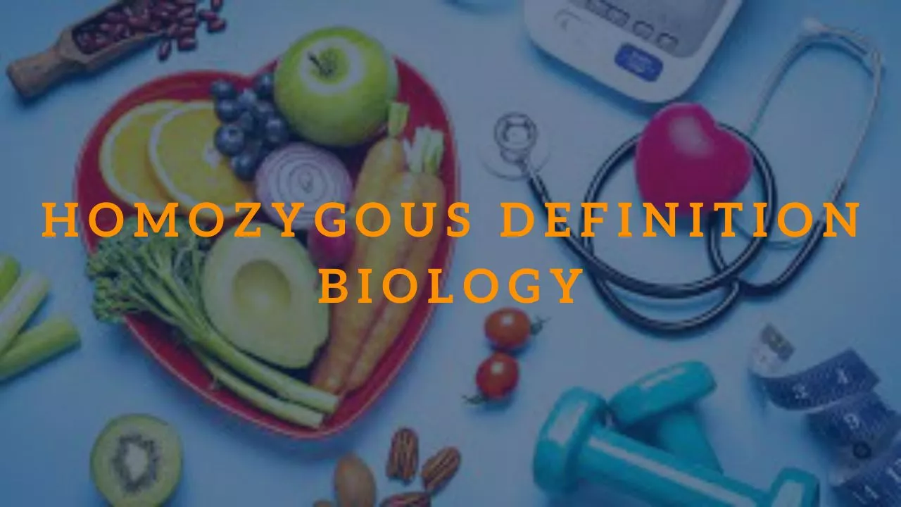 Homozygous Definition Biology