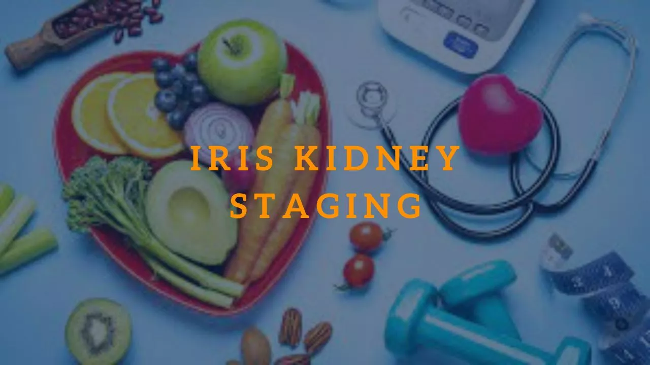 Iris Kidney Staging