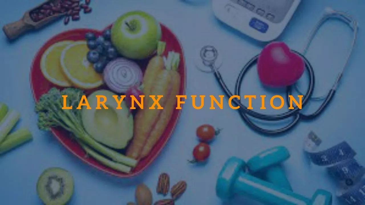 Larynx Function