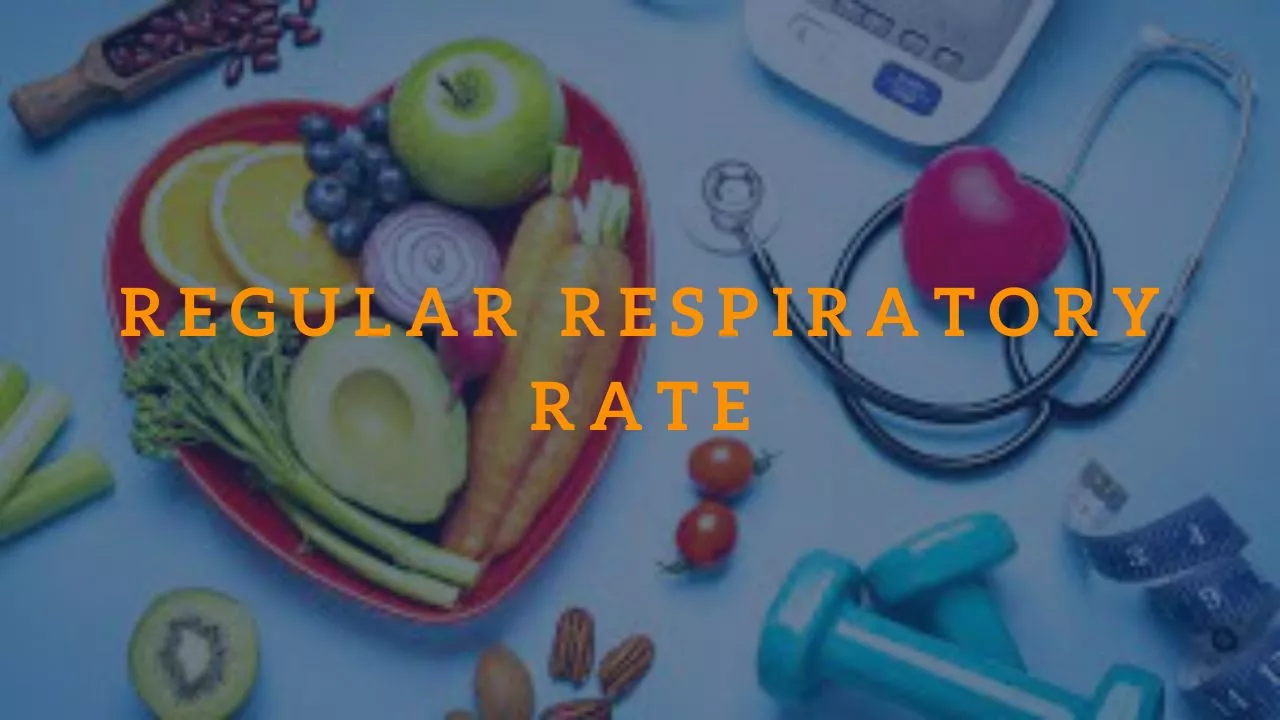 Regular Respiratory Rate